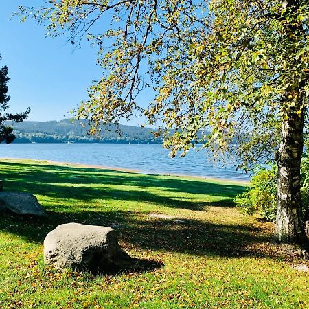 Riviera Lipno 502 Apartman 4Kk U Vody Липно-над-Влтавой Экстерьер фото